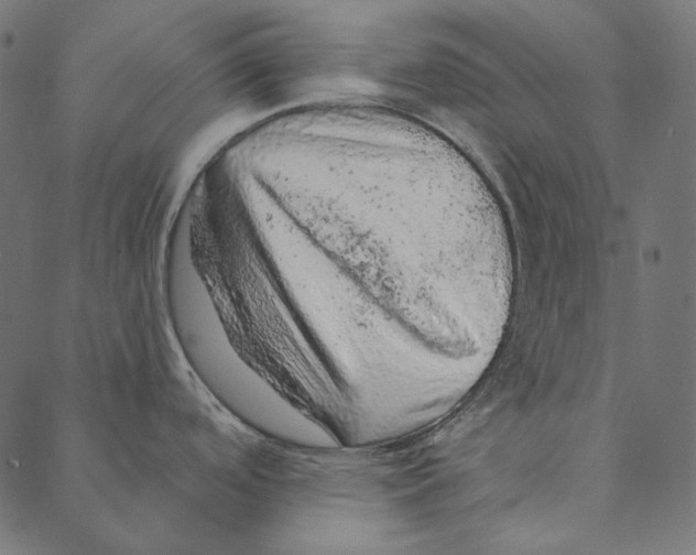 X0000087381488200705181230