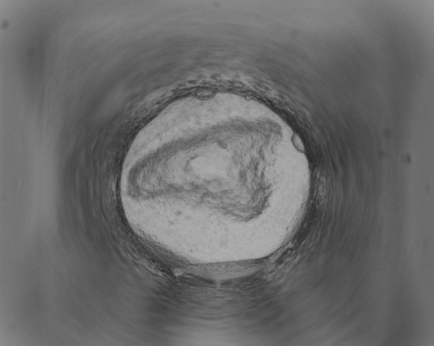 X0000087381489200705181229