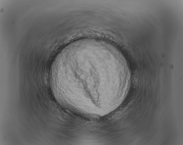 X0000087381490200705181229