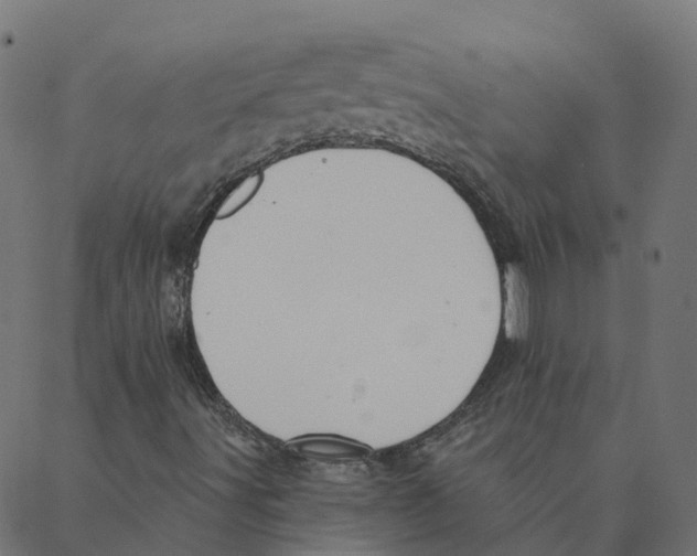 X0000087381491200705181229