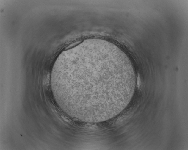 X0000087381492200705181229