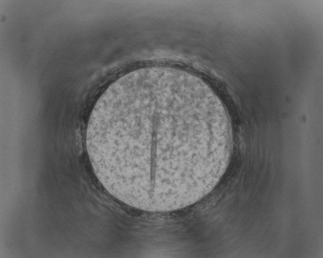 X0000087381493200705181229