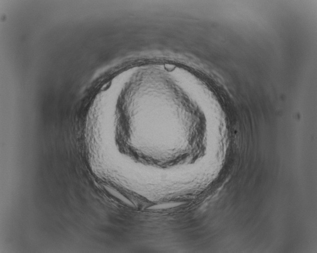 X0000087381494200705181229