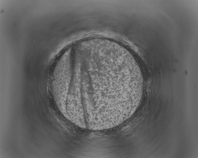 X0000087381496200705181229