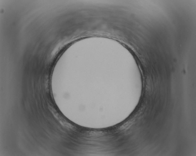 X0000087381499200705181229