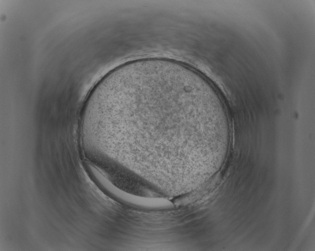 X0000087381500200705181229