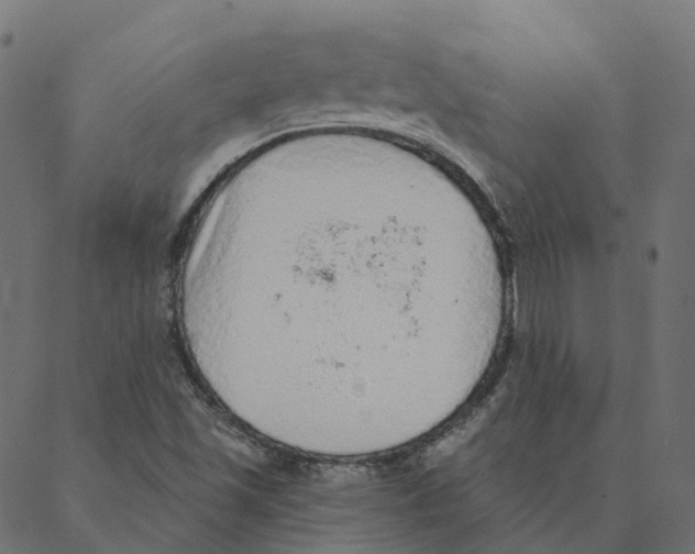 X0000087381501200705181229