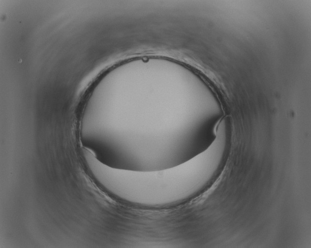 X0000087381502200705181229