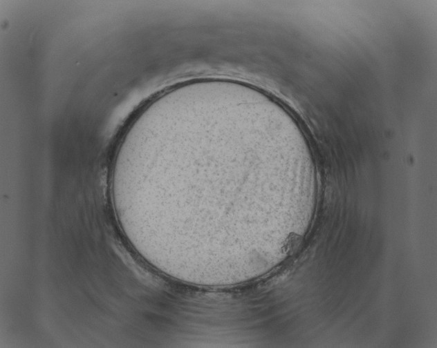 X0000087381503200705181229