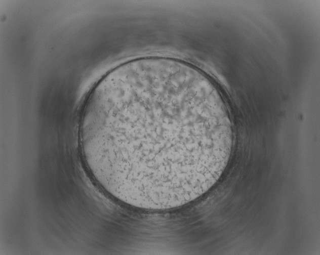 X0000087381504200705181229