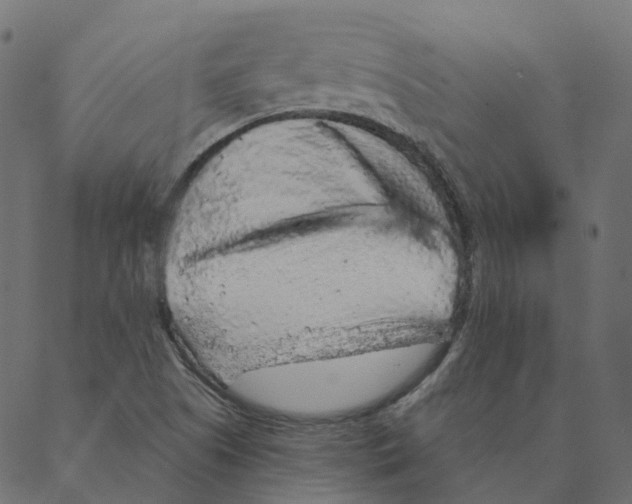 X0000087381505200705181229