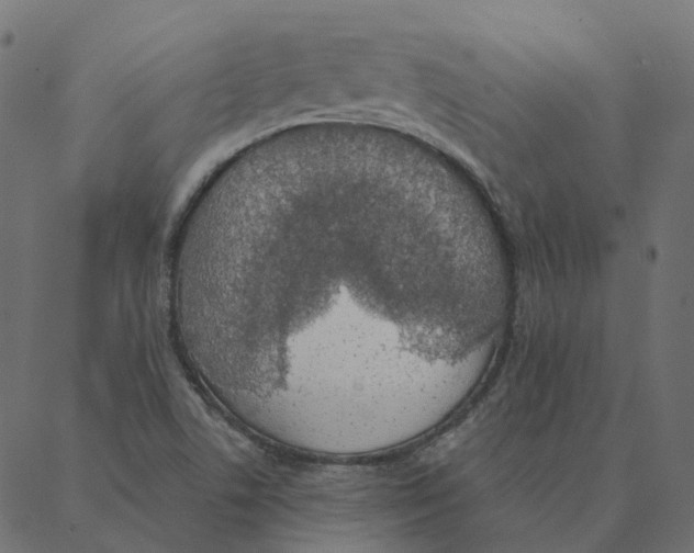 X0000087381506200705181229