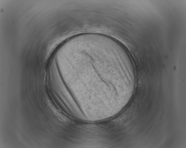 X0000087381507200705181229