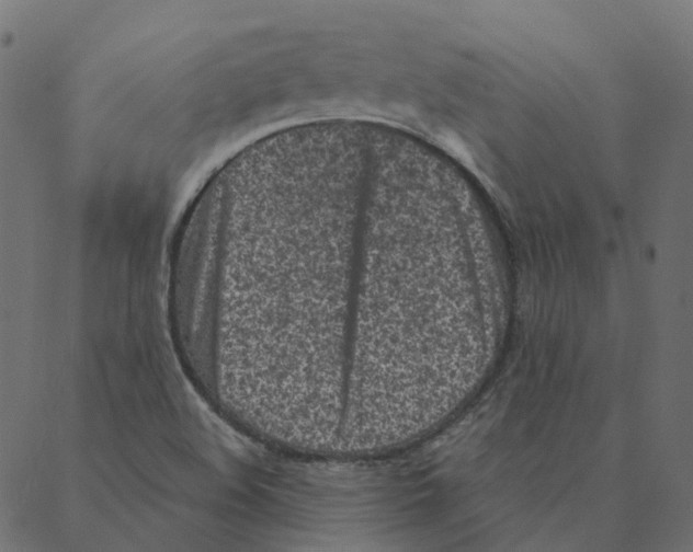 X0000087381508200705181229