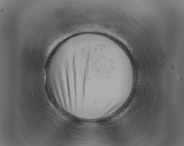 X0000087381509200705181229