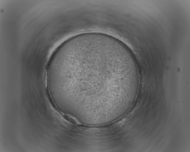 X0000087381510200705181229