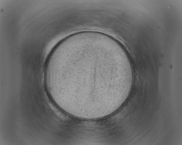 X0000087381511200705181229