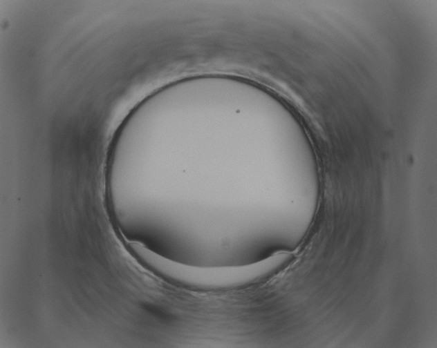 X0000087381512200705181229