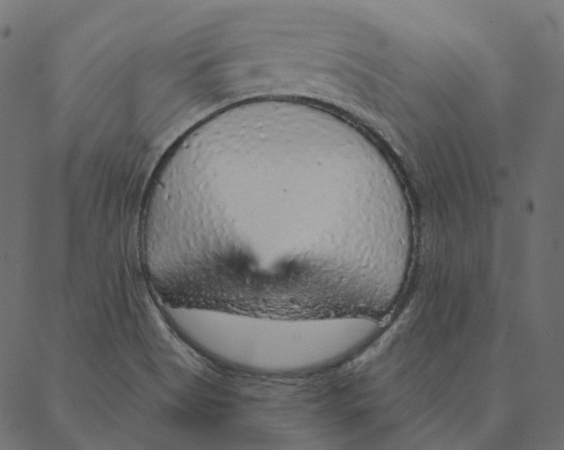 X0000087381513200705181229