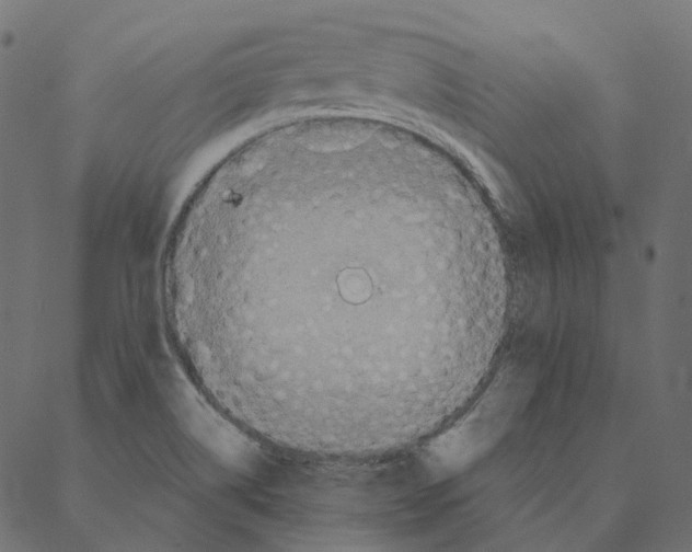 X0000087381514200705181229