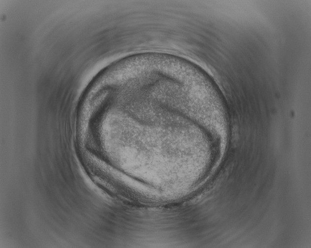 X0000087381515200705181229