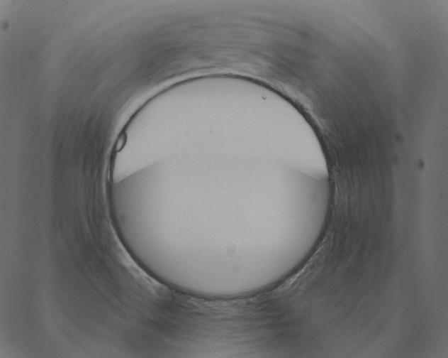 X0000087381516200705181229