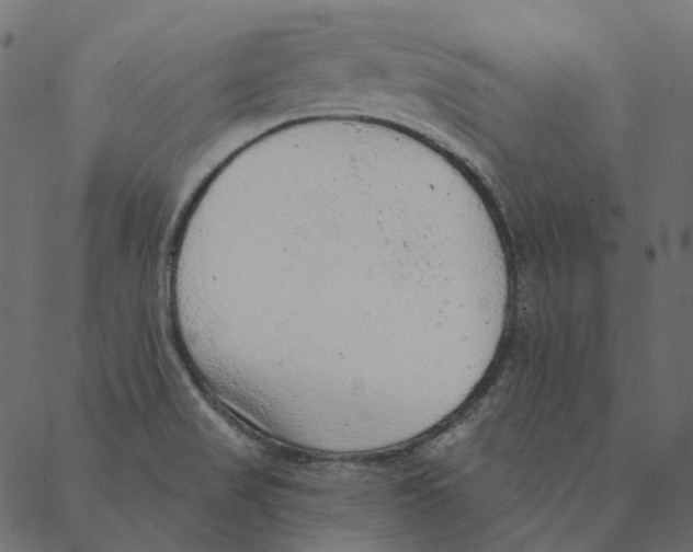 X0000087381517200705181229