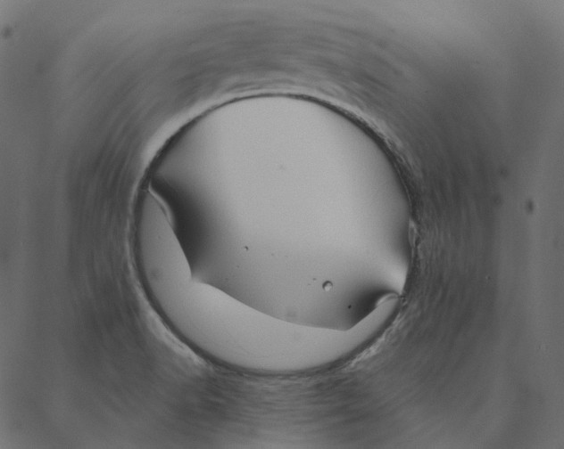 X0000087381518200705181229