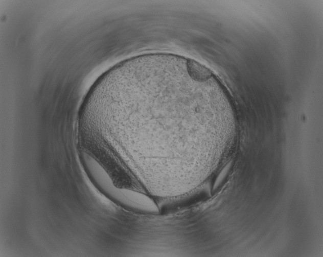 X0000087381519200705181229