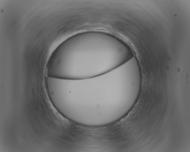 X0000087381520200705181229