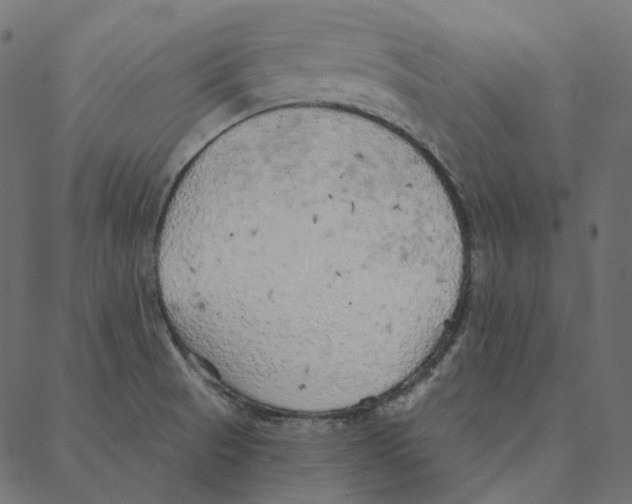 X0000087381521200705181229