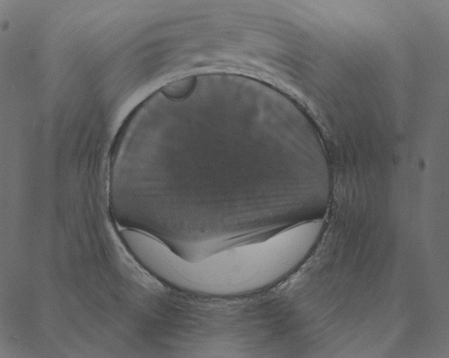 X0000087381522200705181229