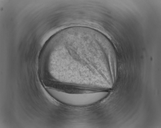 X0000087381523200705181229