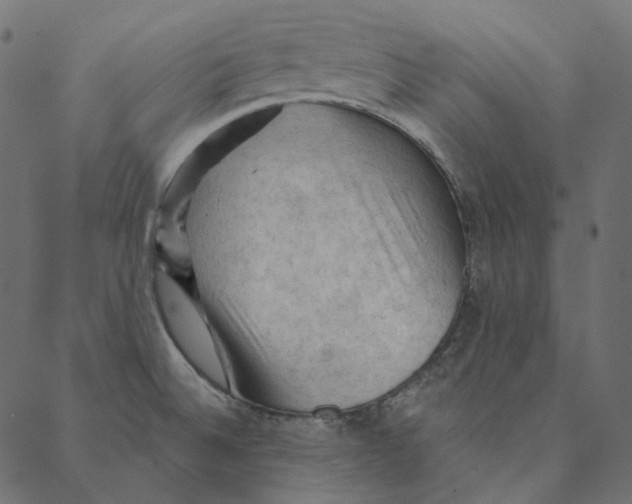 X0000087381524200705181229