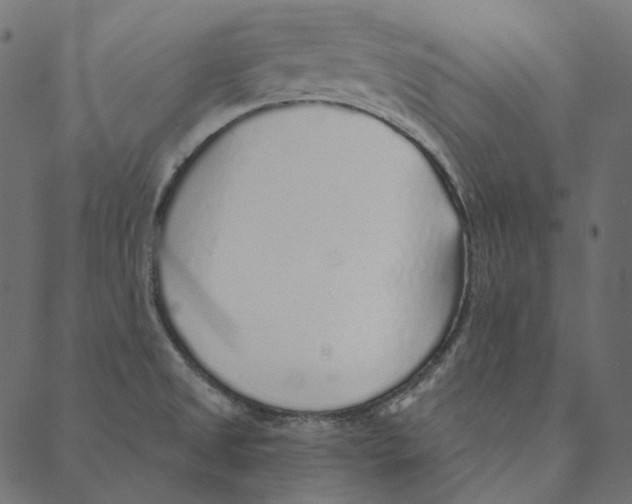 X0000087381525200705181229