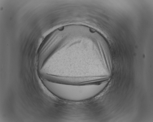 X0000087381526200705181229