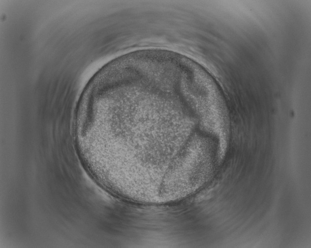 X0000087381527200705181229