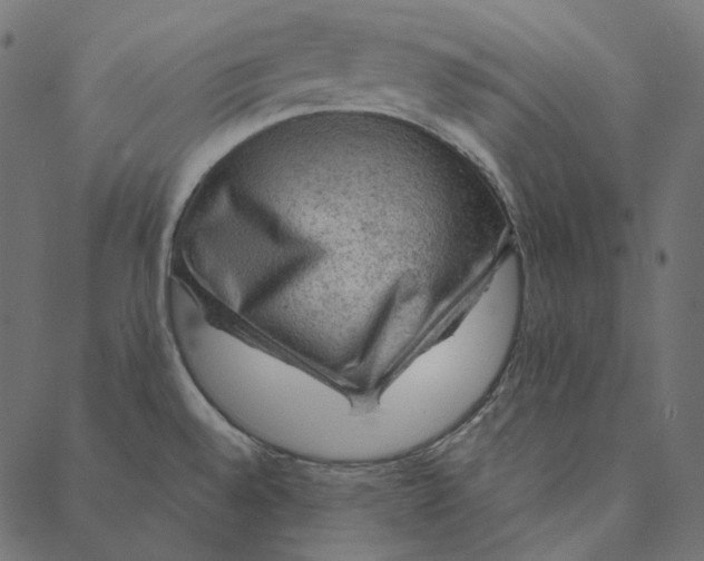 X0000087381528200705181229