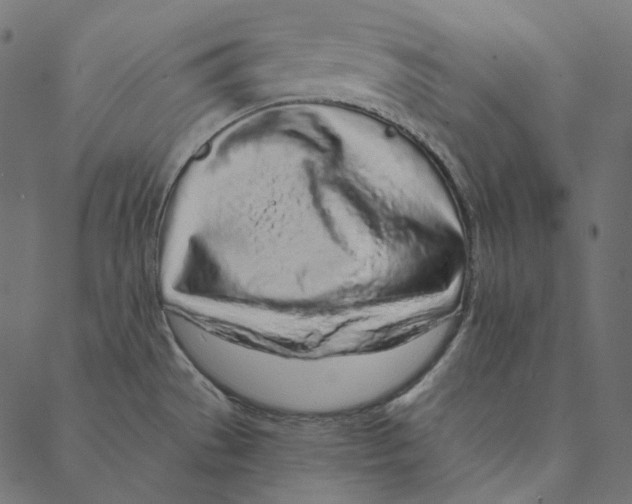 X0000087381529200705181229