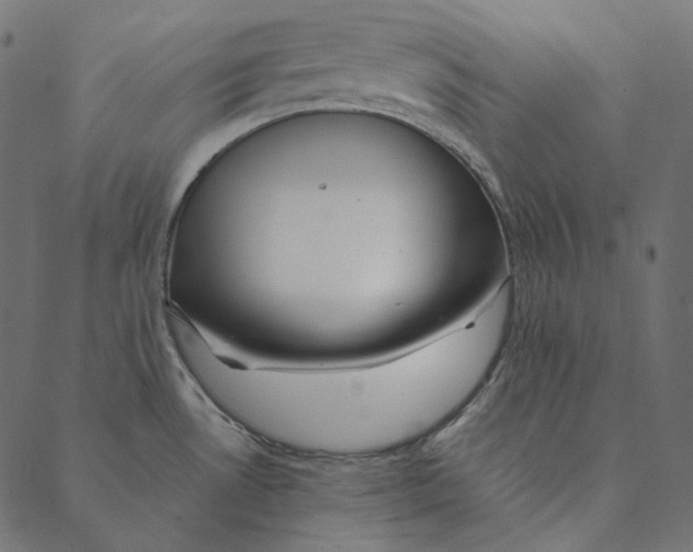 X0000087381530200705181229