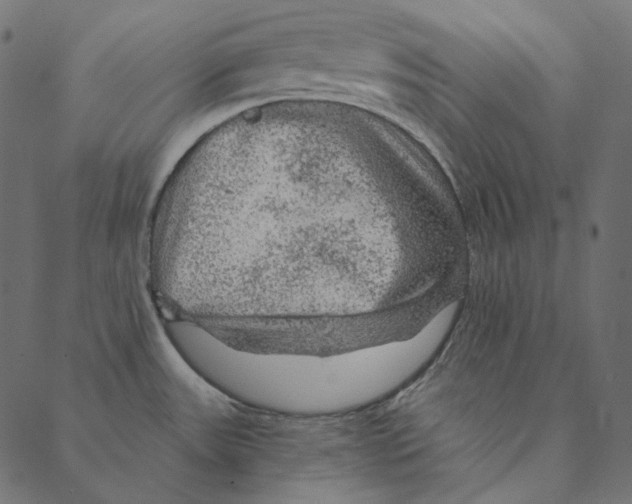 X0000087381531200705181229