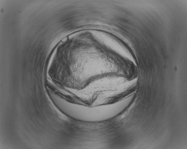 X0000087381533200705181229