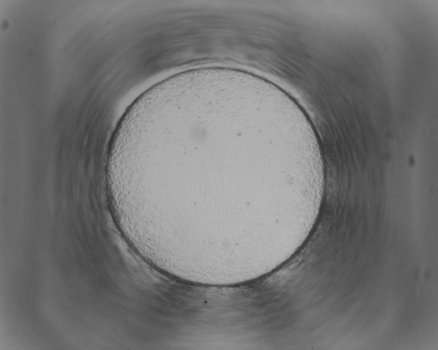 X0000087381534200705181229