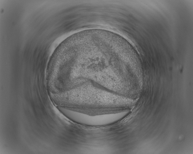 X0000087381535200705181229