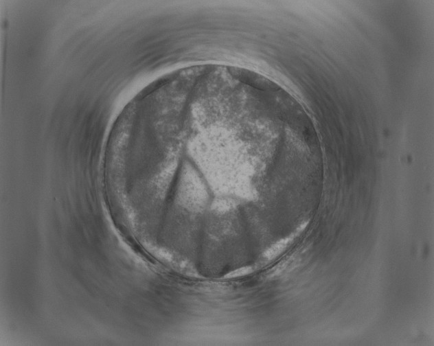 X0000087381536200705181229