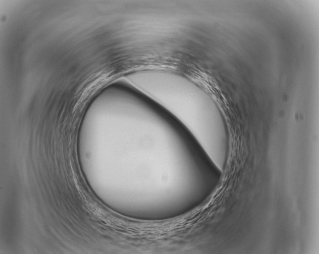 X0000087390001200704200939