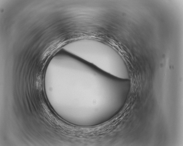 X0000087390002200704200939