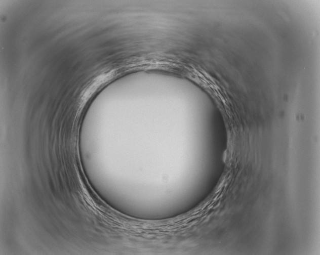 X0000087390003200704200939