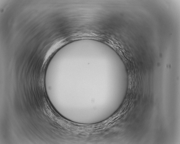 X0000087390004200704200939