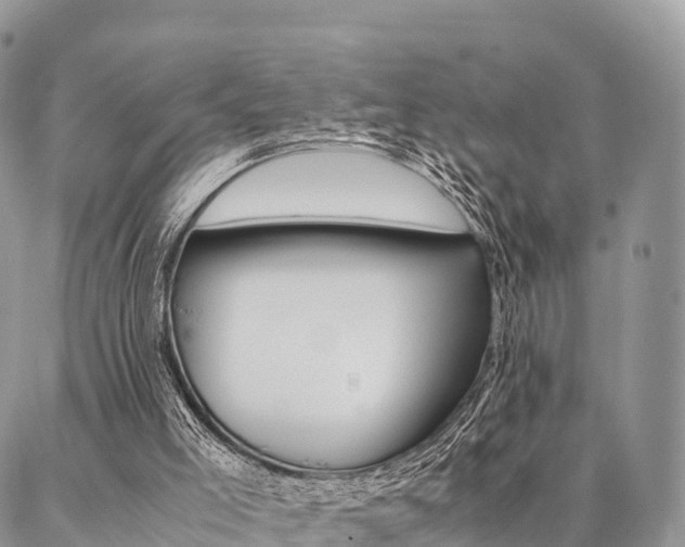 X0000087390005200704200939